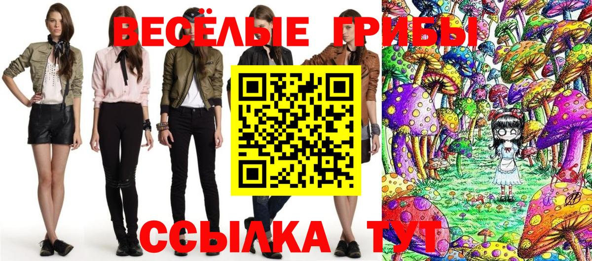 Киржач  Галлюциногенные грибы Psilocybe  наркошоп  Вход с VPN  Галлюциногенные грибы мицелий 